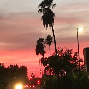 Meet your Posher, Rio